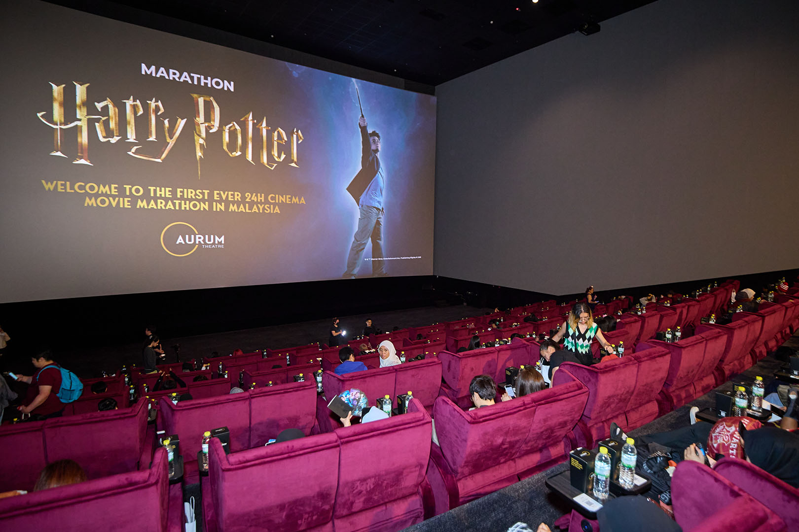 24 Hour Harry Potter Marathon