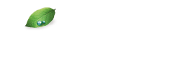 Aurum Getha Lux Suite