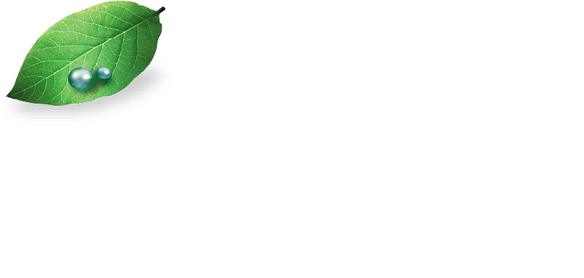 Getha Lux Suite