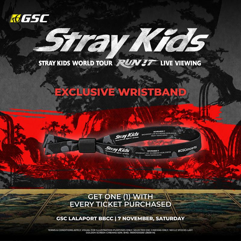 STRAY KIDS WORLD TOUR RUN IT 